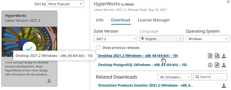 Altair HYperWorks 2021.2 windows 10